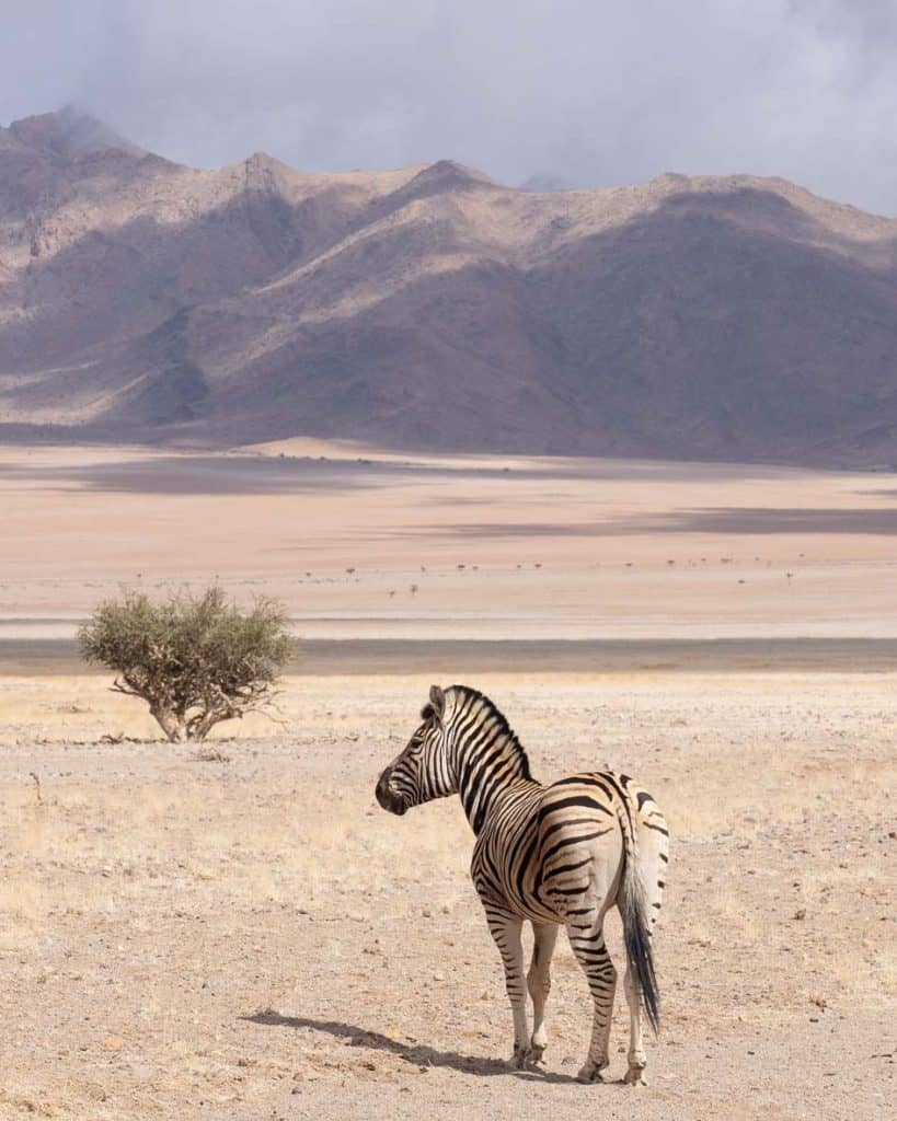 namibia 2024