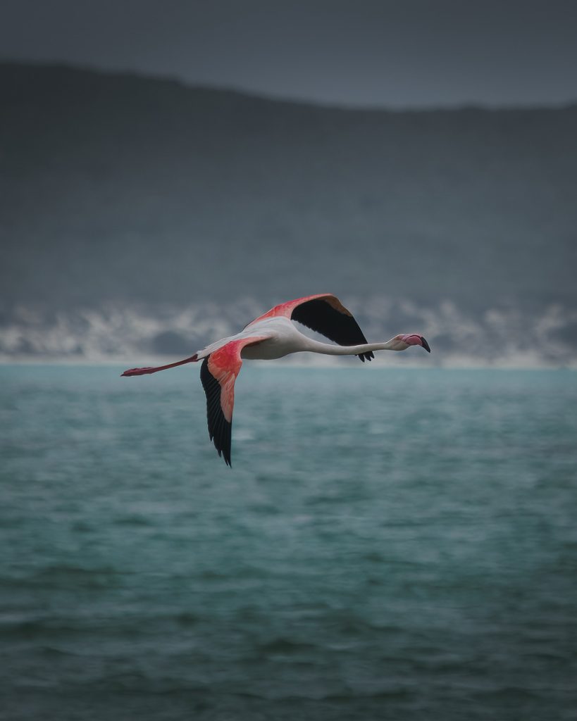 south africa
